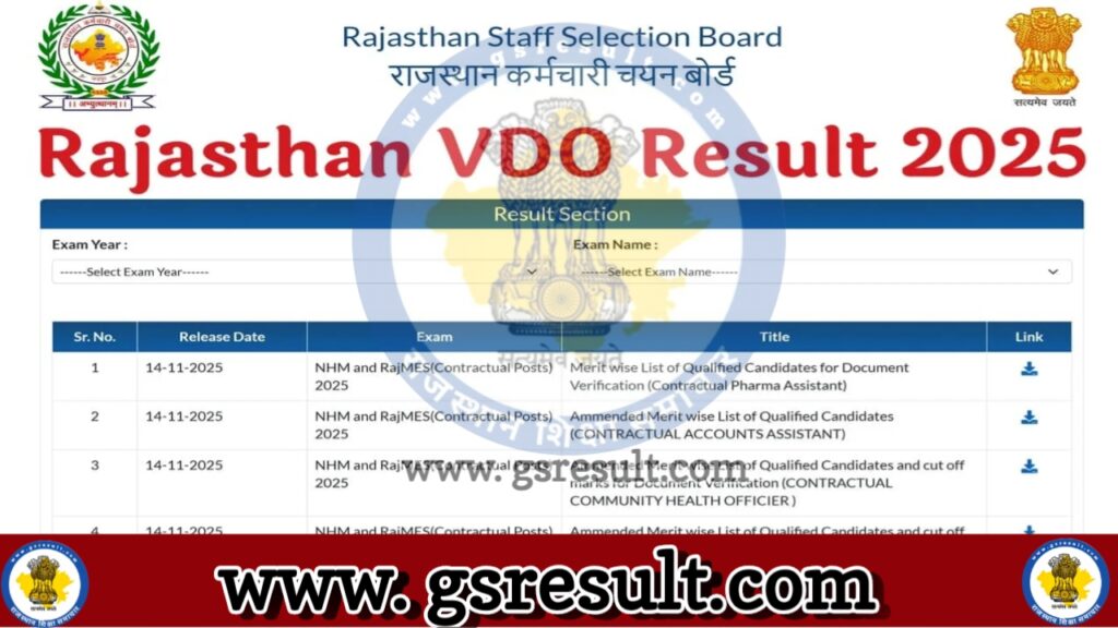 Rajasthan VDO Result 2025